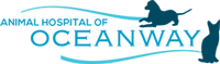 Vet In Jacksonville | Animal Hospital of Oceanway Logo