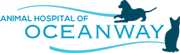 Vet In Jacksonville | Animal Hospital of Oceanway Logo