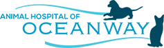 Vet In Jacksonville | Animal Hospital of Oceanway Logo