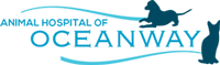 Vet In Jacksonville | Animal Hospital of Oceanway Logo
